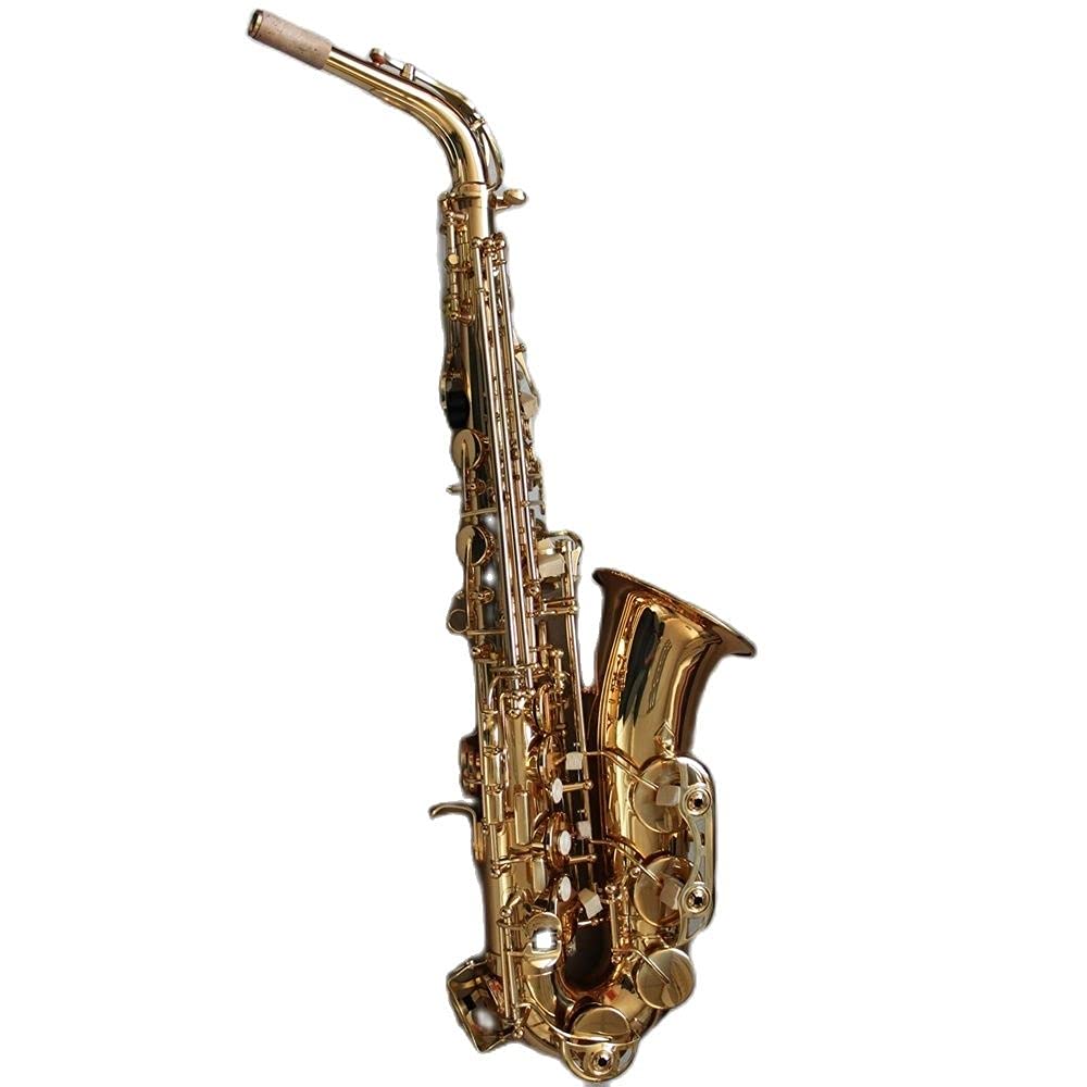 EB Alto Saxophone Set W152429