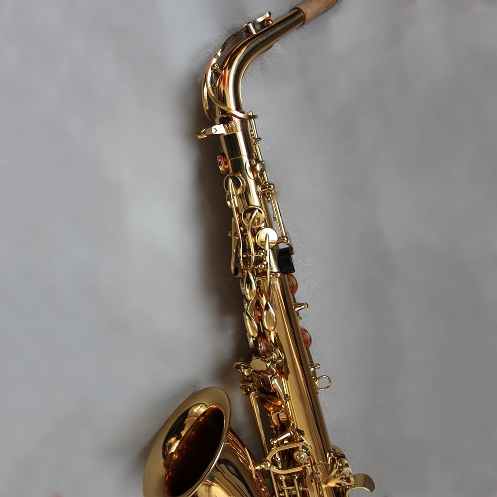 EB Alto Saxophone Set W152429