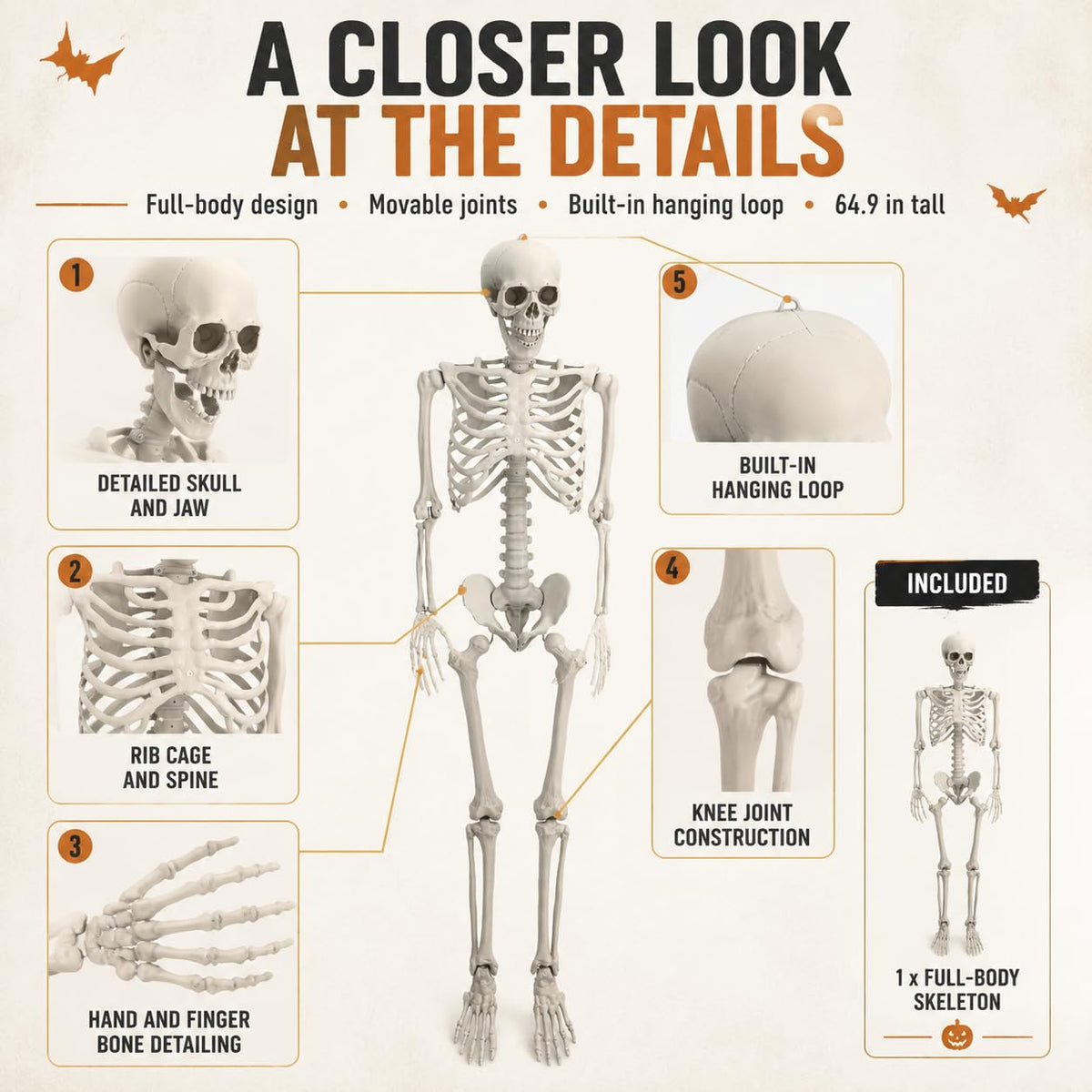 Life Size Posable Full Body Skeleton with Movable Joints and Hanging Loop J784983