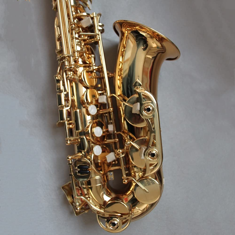 EB Alto Saxophone Set W152429