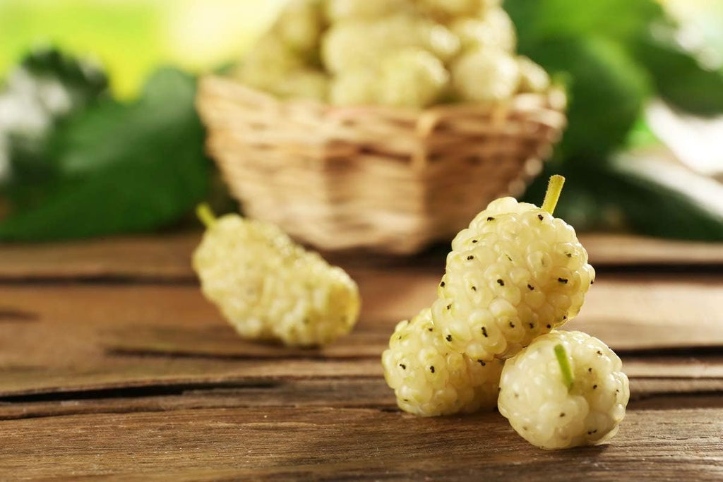 Organic Dried White Mulberries 8 Ounces T93889