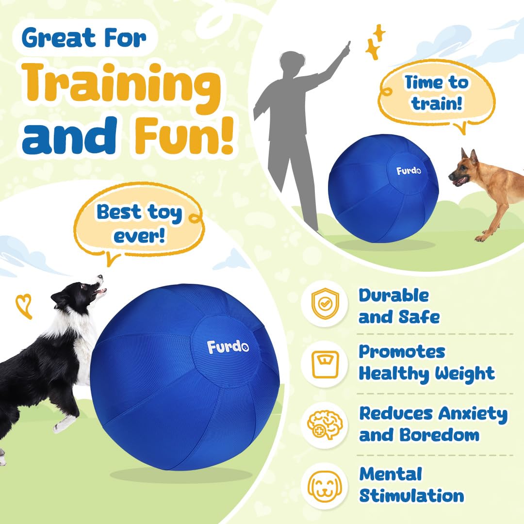 25" Herding Ball for Dogs L9848