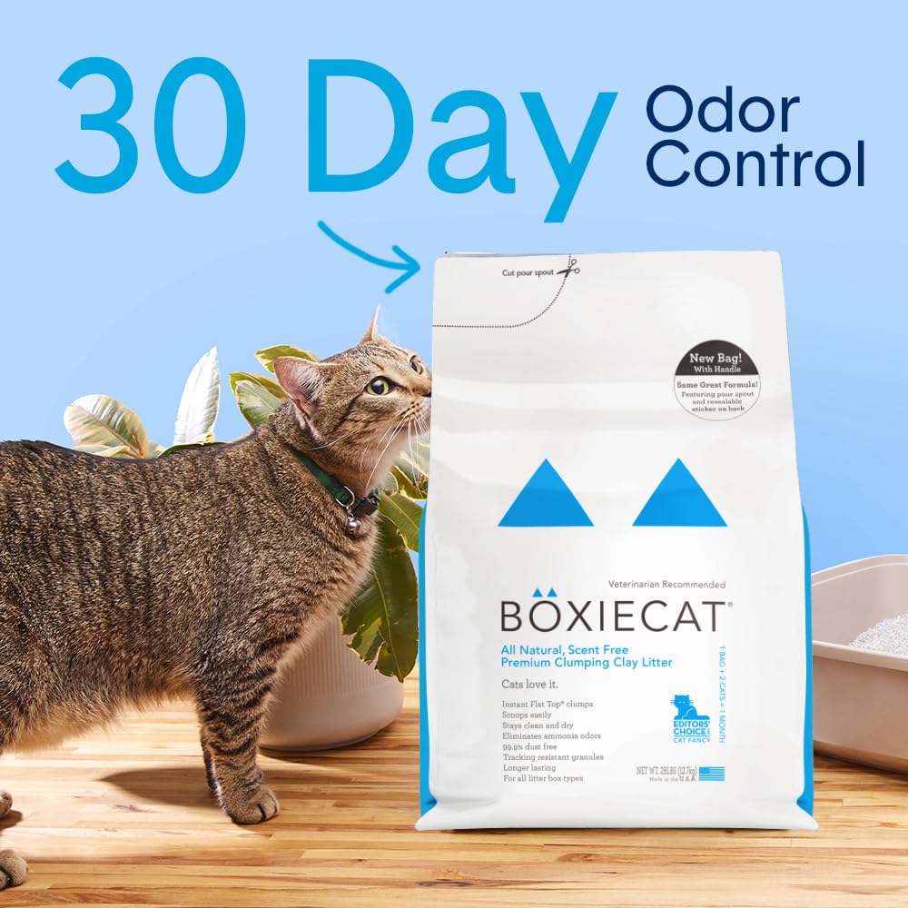 Unscented Clumping Cat Litter 16 lb N2065