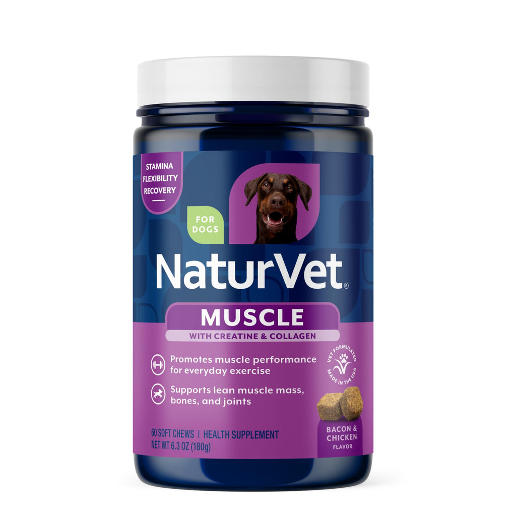 Hip & Joint Supplement for Dogs 60 Ct E309238
