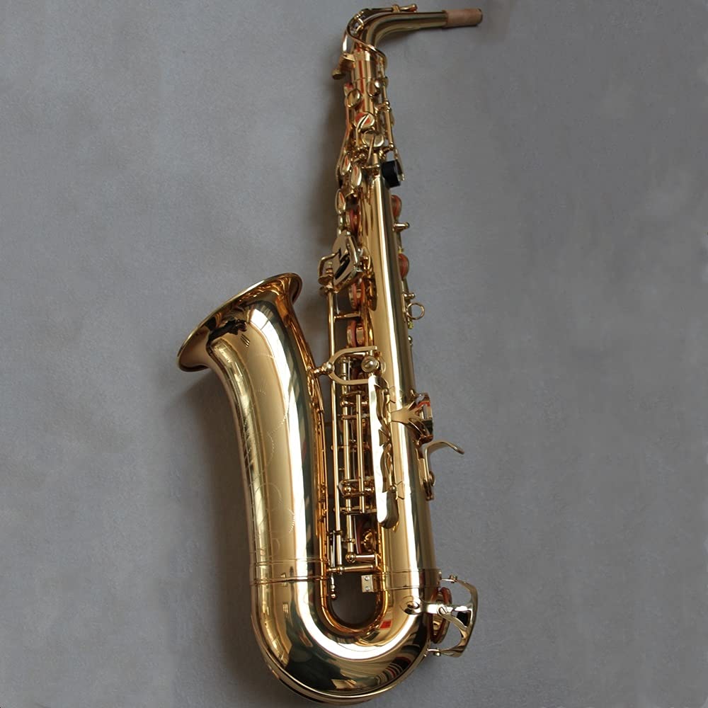 EB Alto Saxophone Set W152429