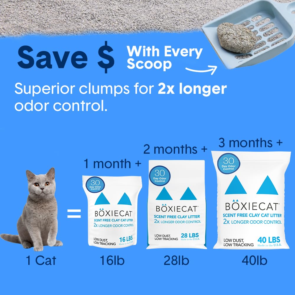 Unscented Clumping Cat Litter 16 lb N2065
