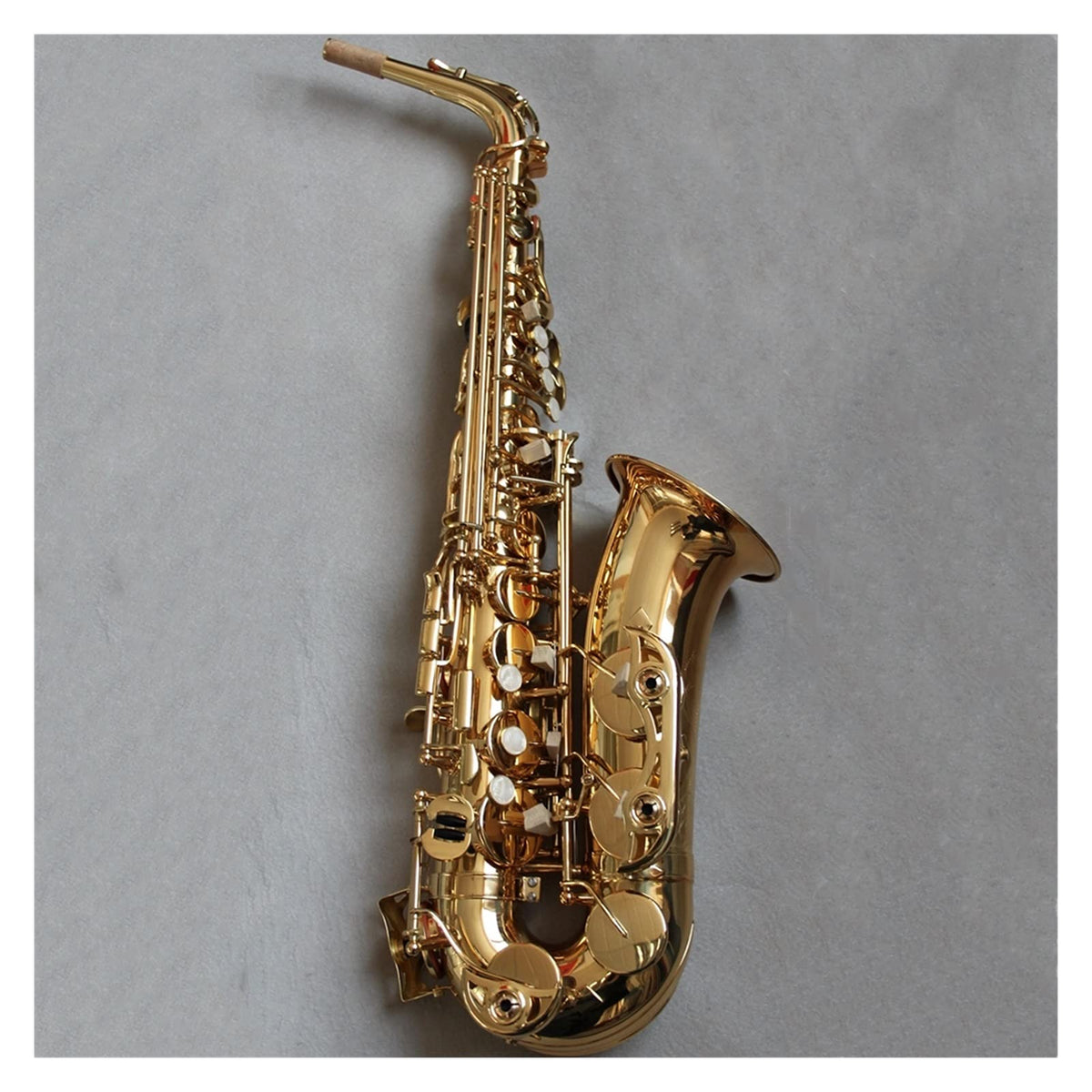 EB Alto Saxophone Set W152429