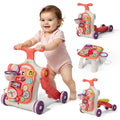5 in 1 Baby Walker R1963