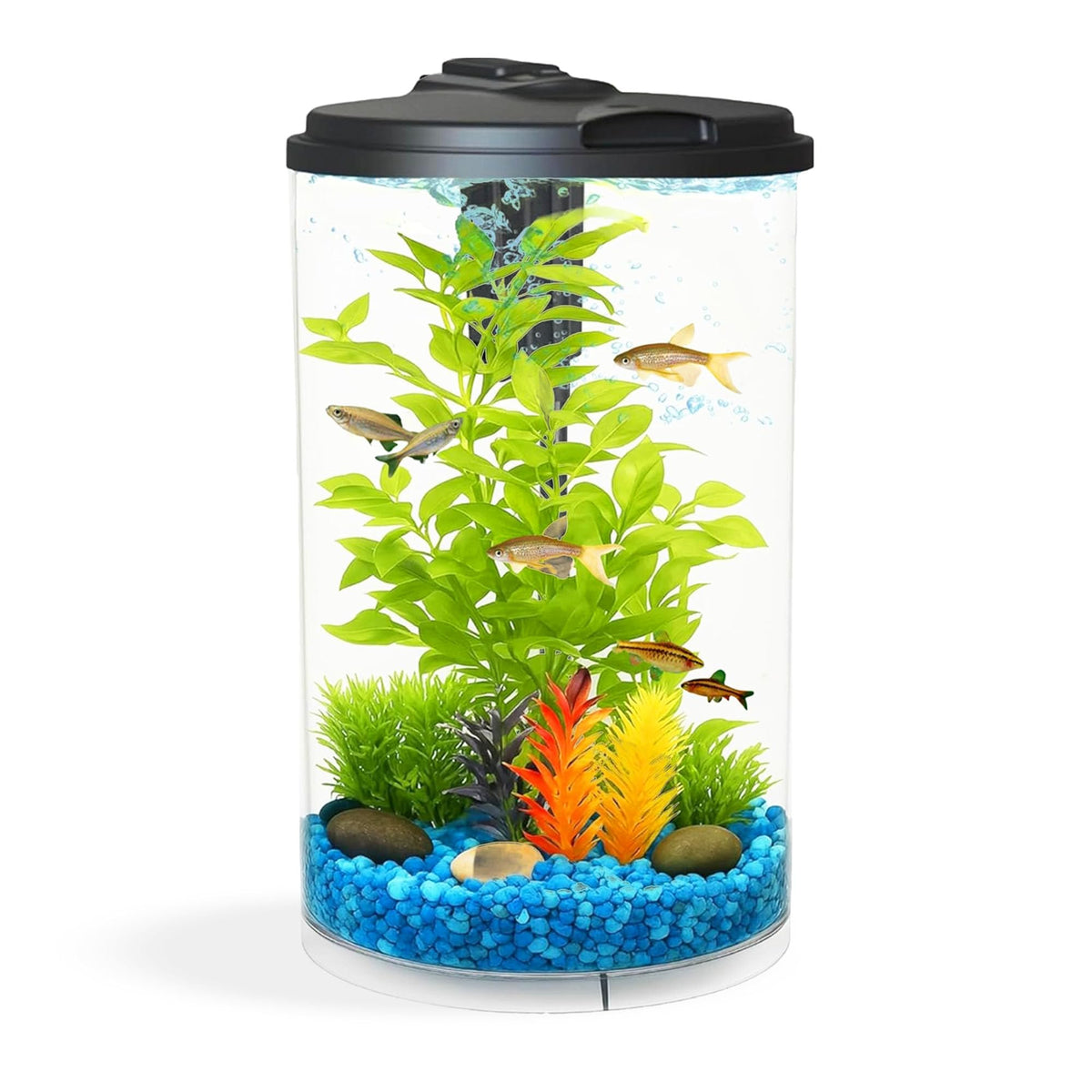 3-Gallon Aquarium with LED Lighting and Power Filter I777092