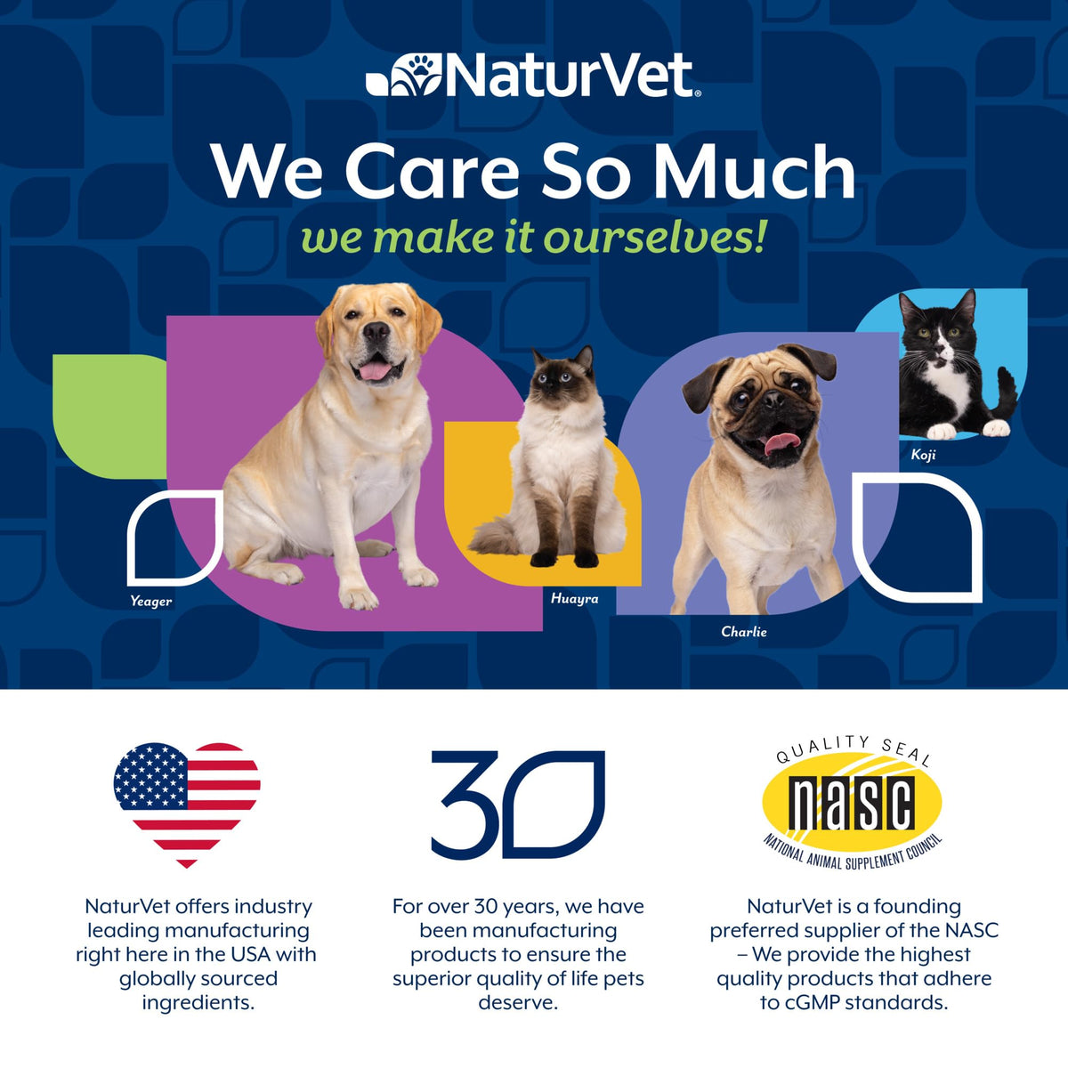 Hip & Joint Supplement for Dogs 60 Ct E309238