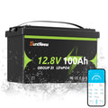 12V 100Ah LiFePO4 Battery Group 31 L78926