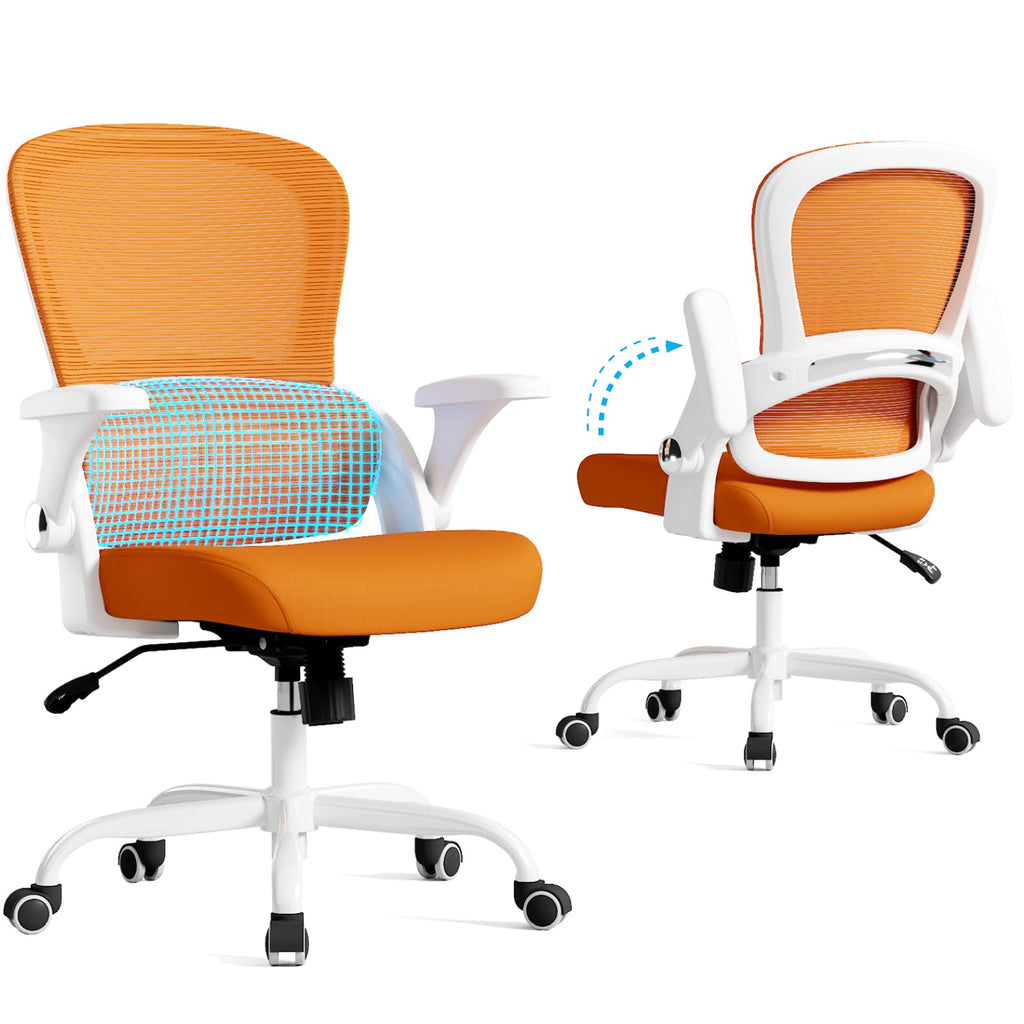 Ergonomic Office Chair with Back Support N285
