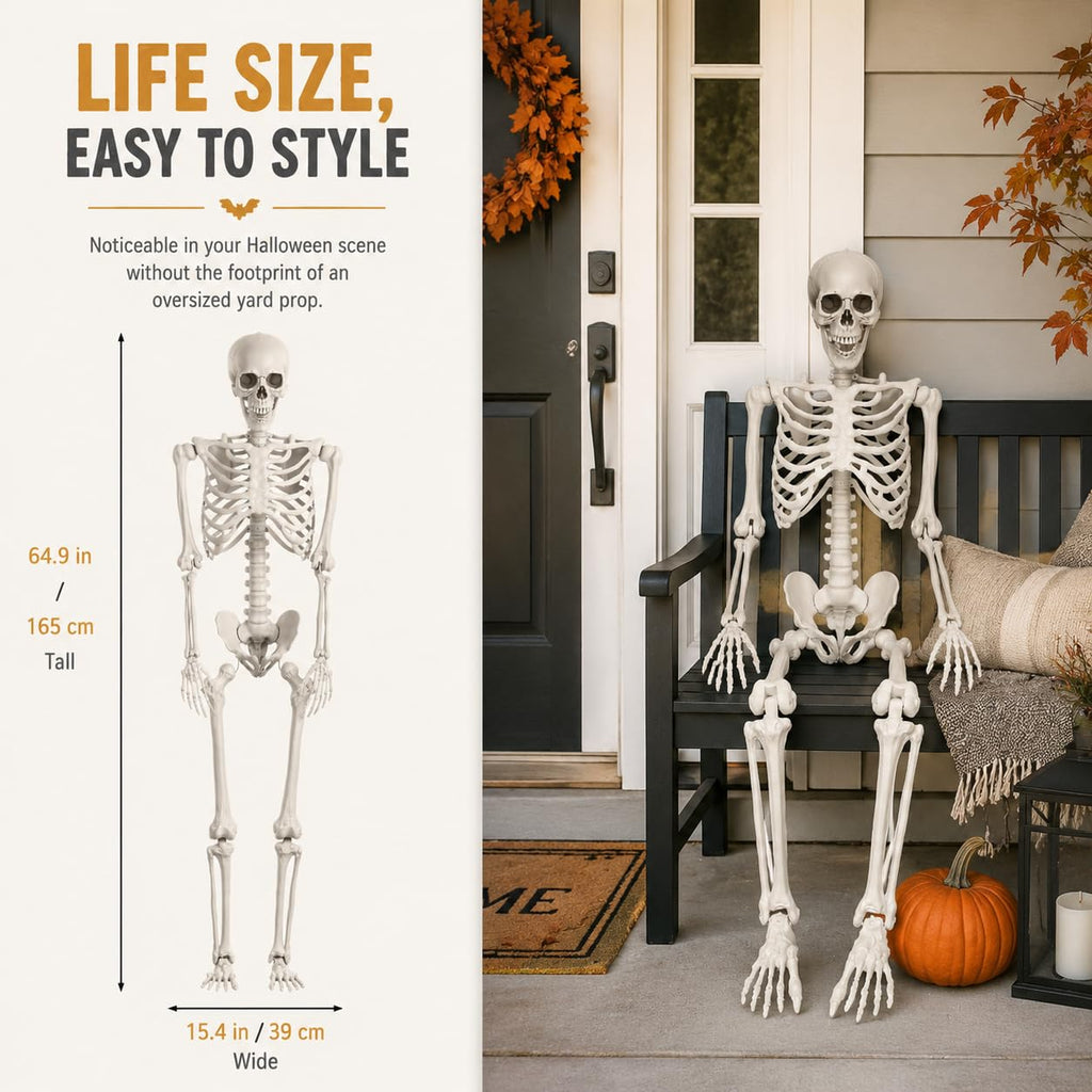 Life Size Posable Full Body Skeleton with Movable Joints and Hanging Loop J784983