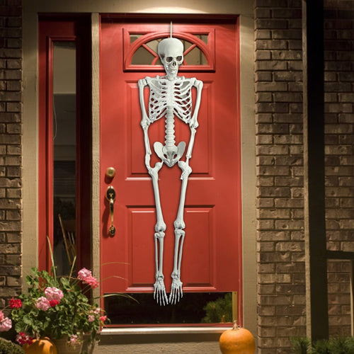 165cm Posable Full Body Skeleton R646585