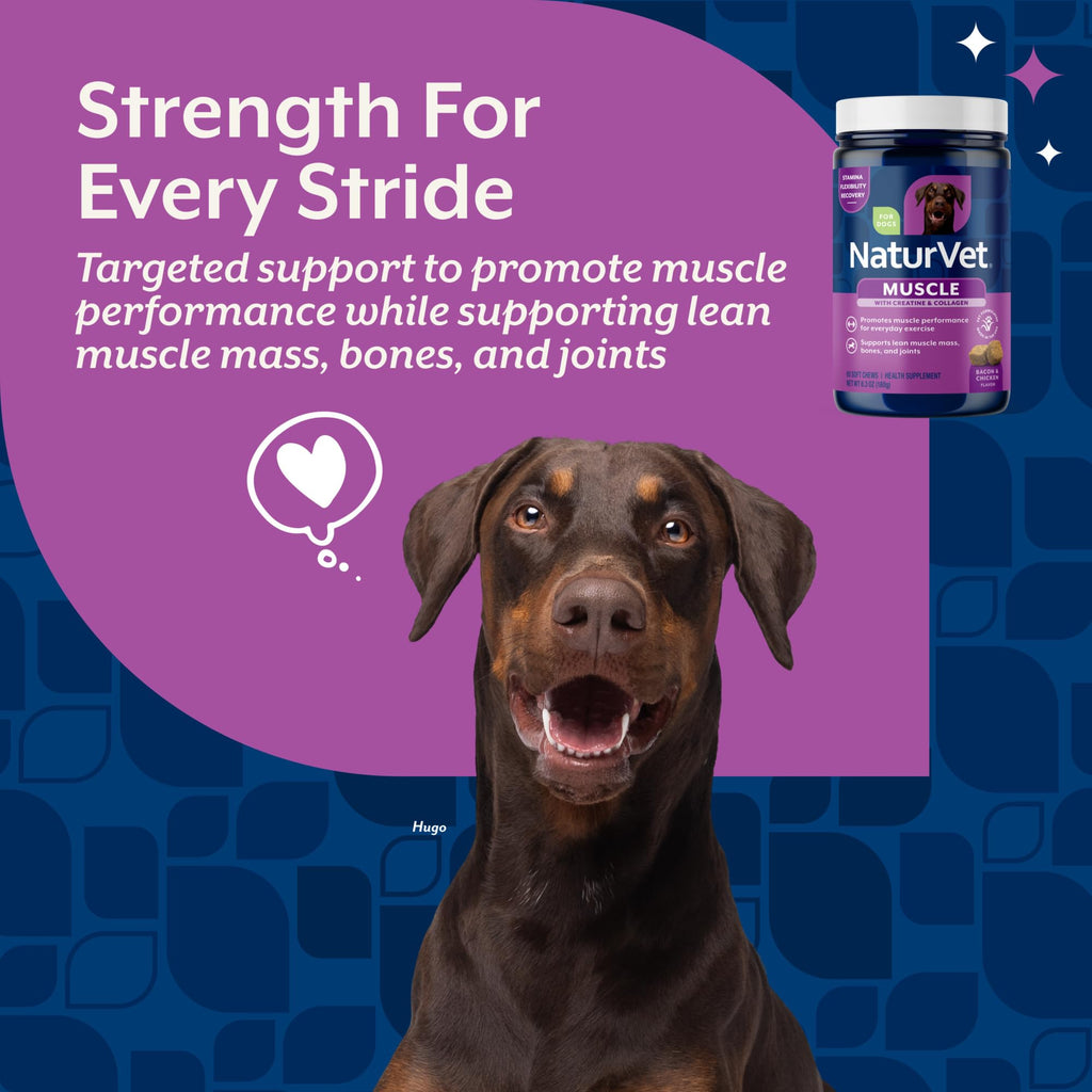 Hip & Joint Supplement for Dogs 60 Ct E309238