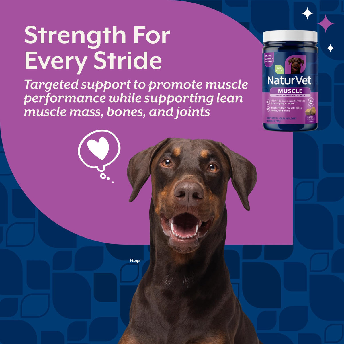Hip & Joint Supplement for Dogs 60 Ct E309238