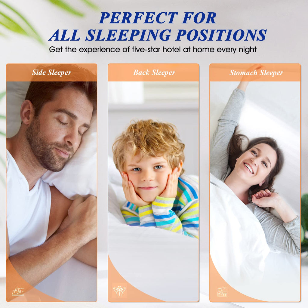 King Size Bed Pillows Set of 2 E703