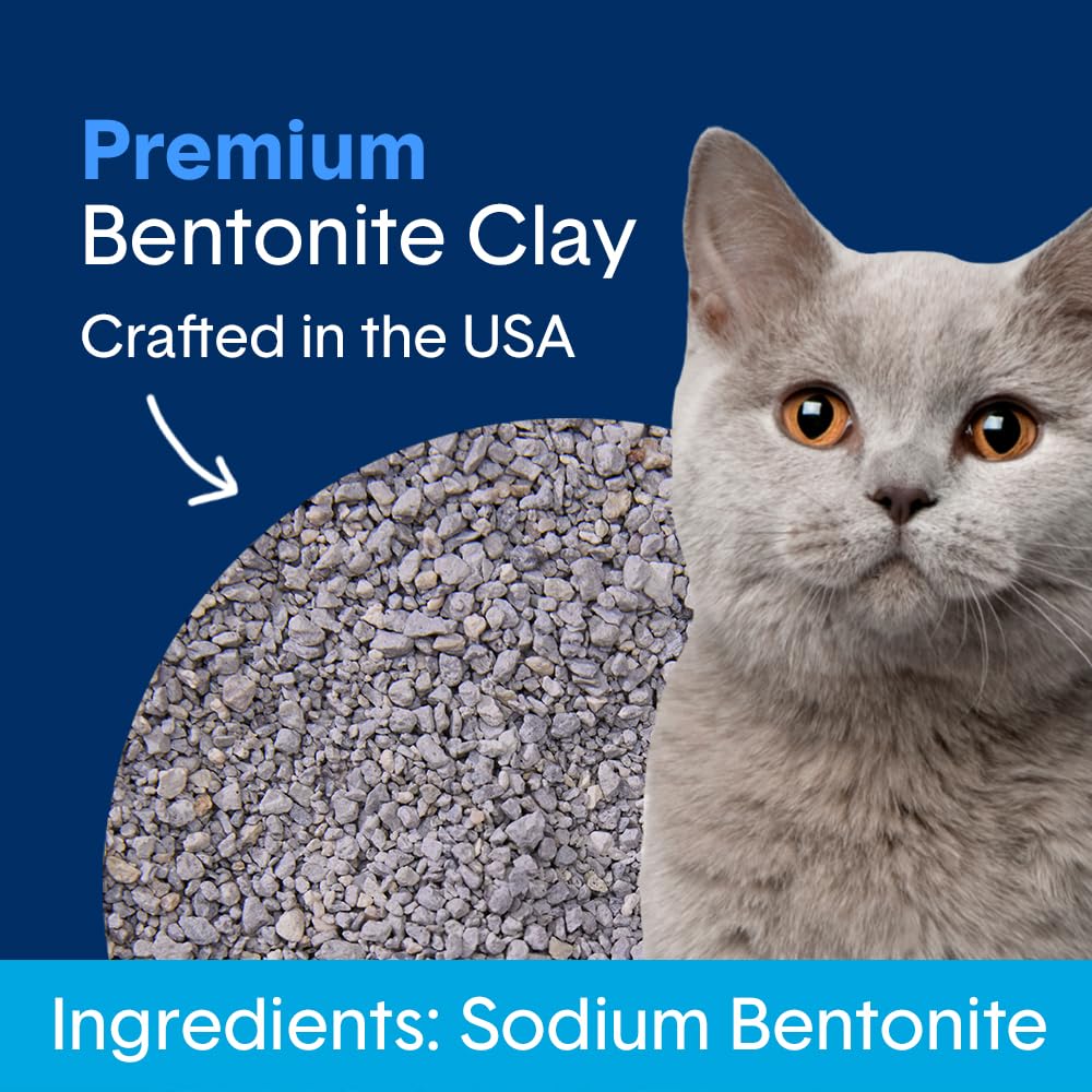 Unscented Clumping Cat Litter 16 lb N2065