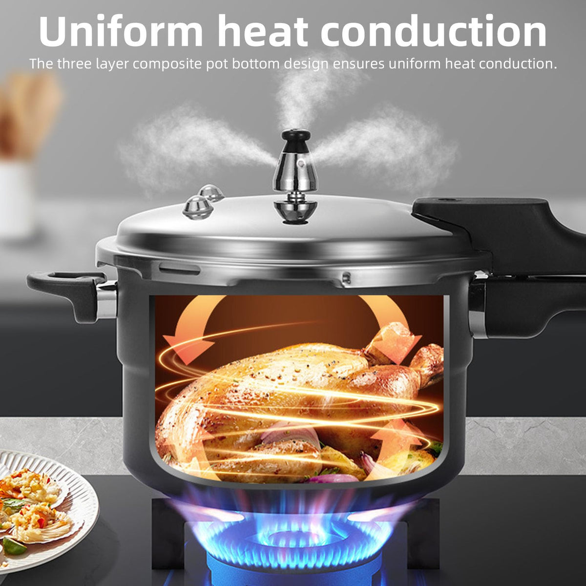 Universal Pressure Cooker 3L J180