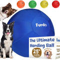 25" Herding Ball for Dogs L9848