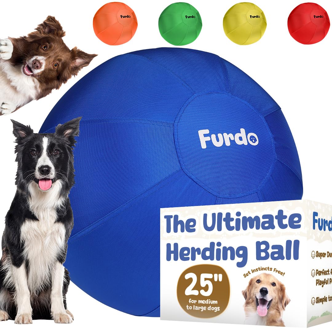25" Herding Ball for Dogs L9848