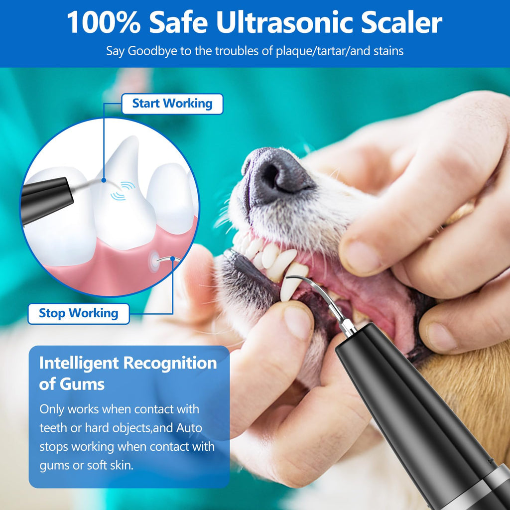 Ultrasonic Dog Teeth Cleaning Kit V776