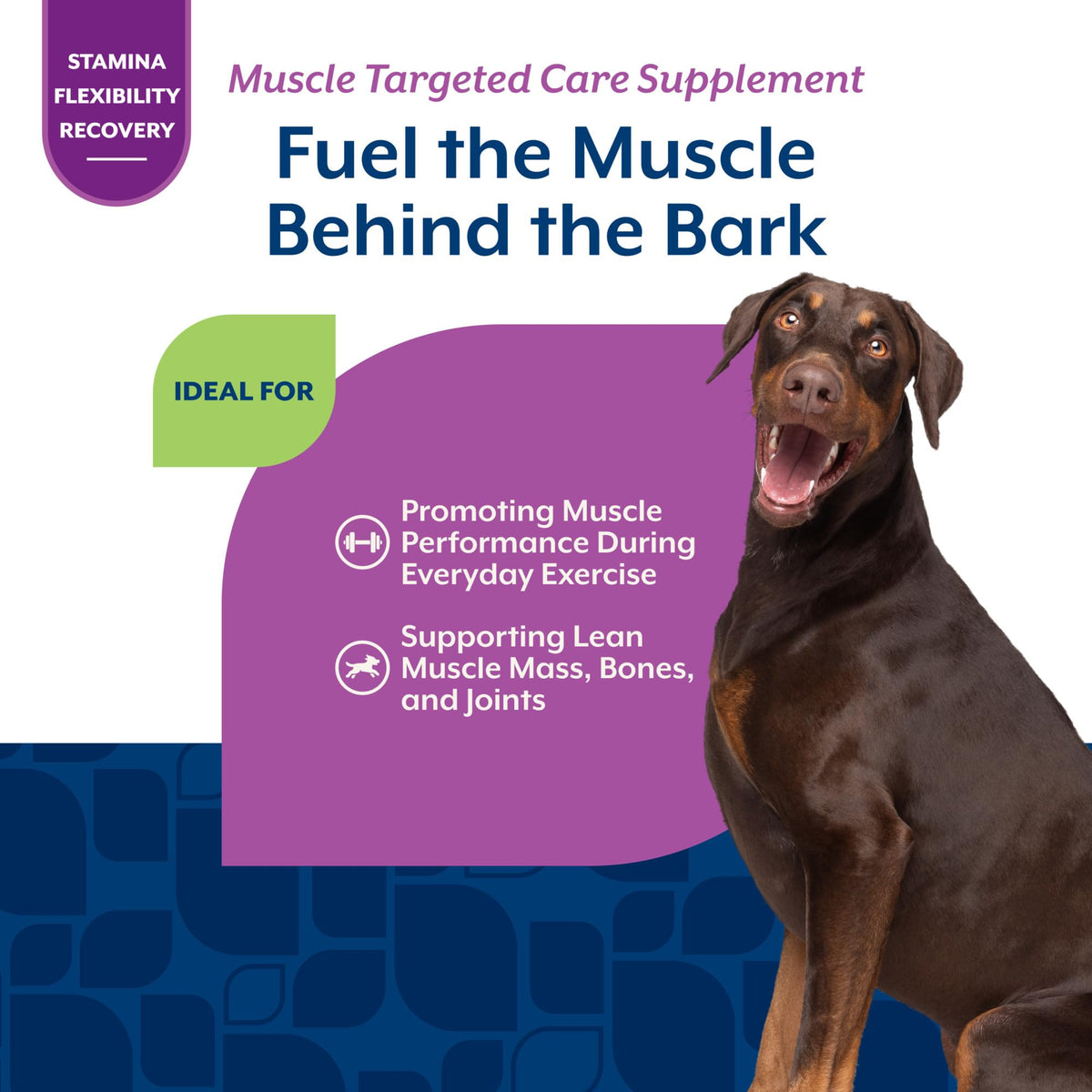 Hip & Joint Supplement for Dogs 60 Ct E309238