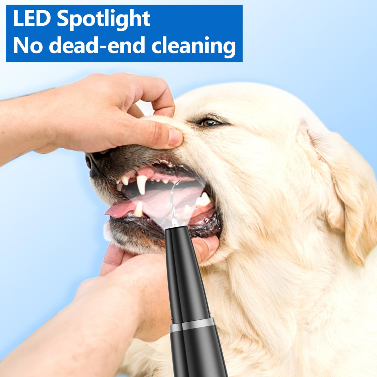 Ultrasonic Dog Teeth Cleaning Kit V776