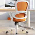 Ergonomic Office Chair with Back Support N285