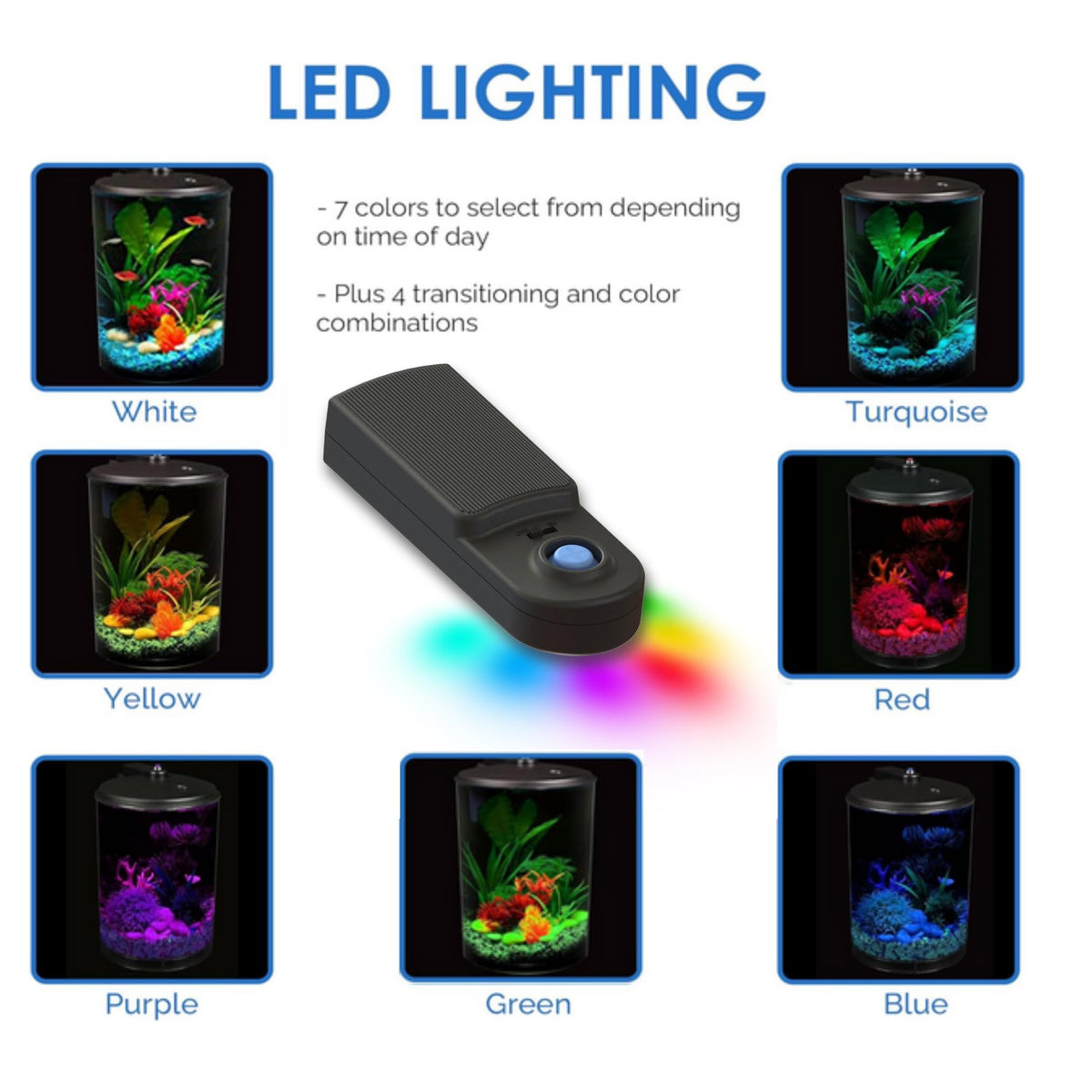3-Gallon Aquarium with LED Lighting and Power Filter I777092