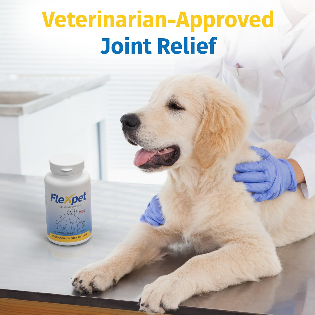 Hip & Joint Supplement for Dogs & Cats with Glucosamine, Collagen, MSM - 60 Tablets P80523