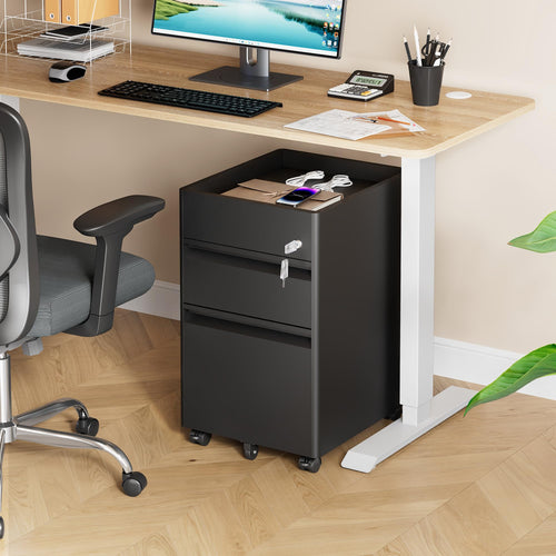 2 Drawer Metal File Cabinet with Lock M5411