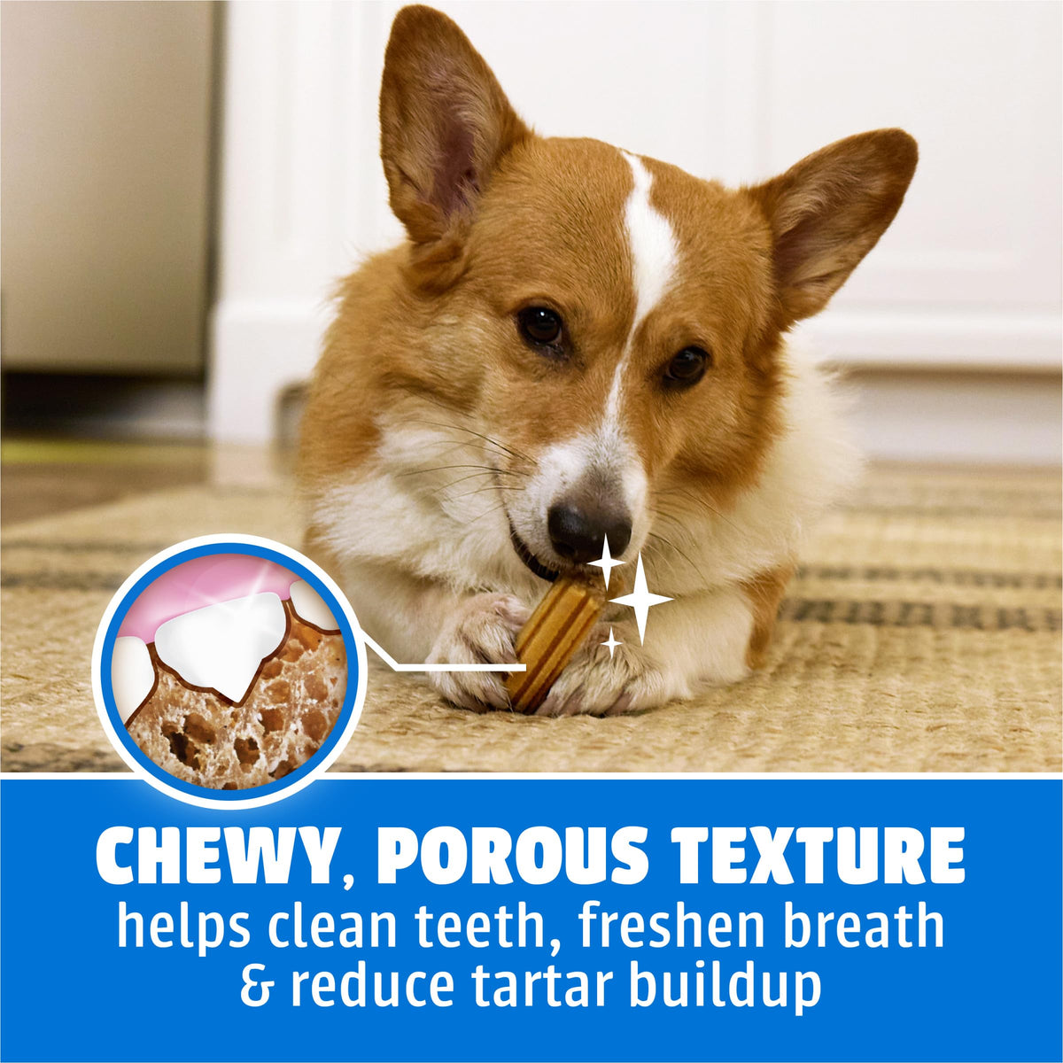 Daily Oral Care Dog Treats, Small/Medium, 60 ct B4317