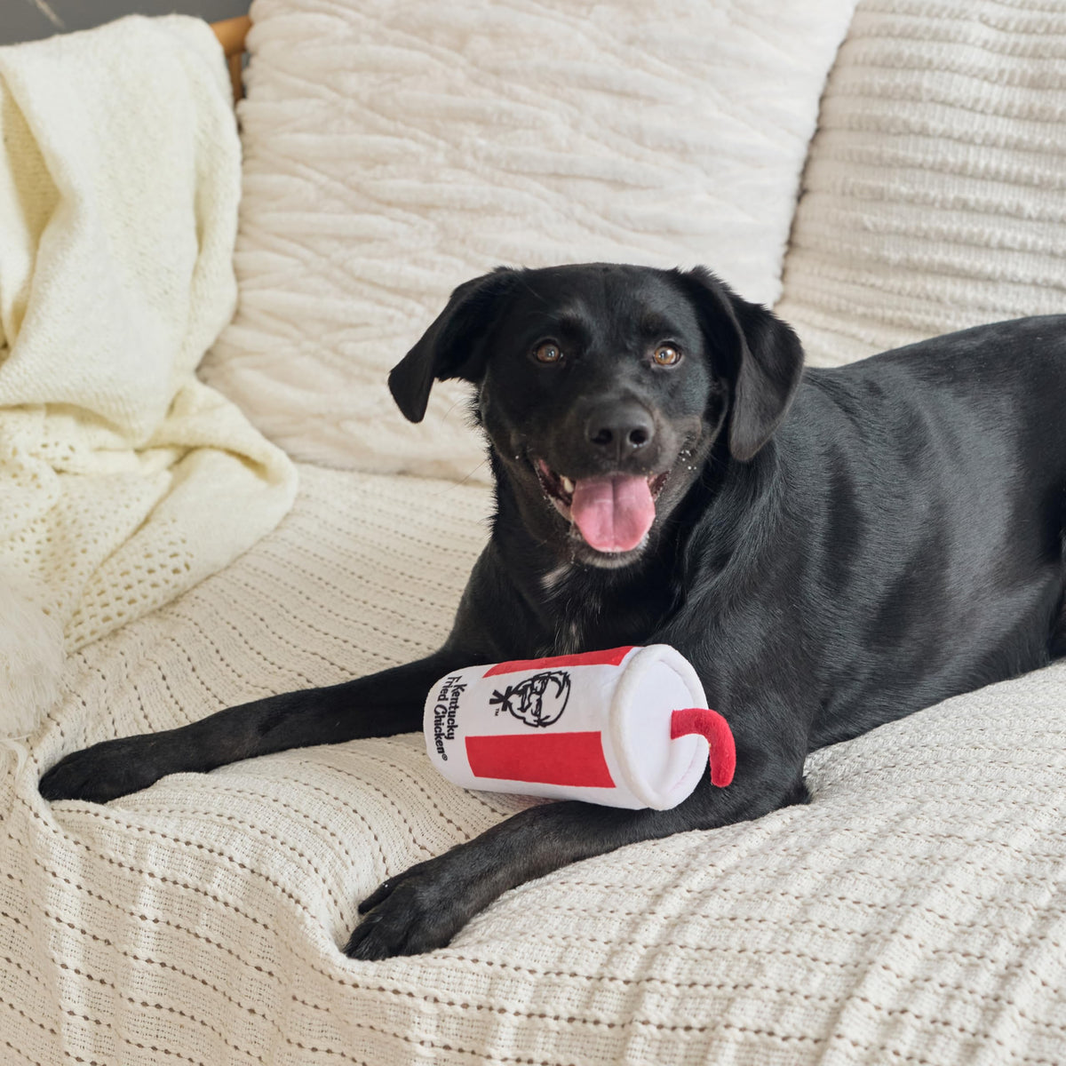 3-Piece Plush Dog Toy Set M7671