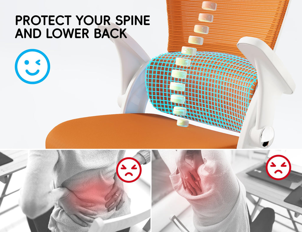 Ergonomic Office Chair with Back Support N285