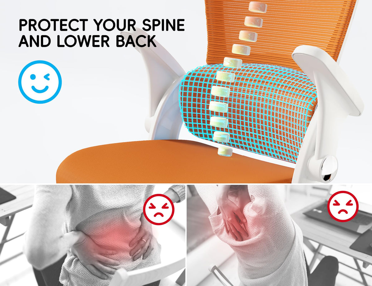 Ergonomic Office Chair with Back Support N285