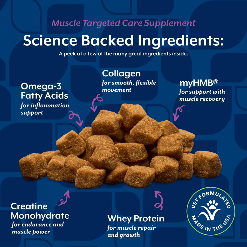 Hip & Joint Supplement for Dogs 60 Ct E309238