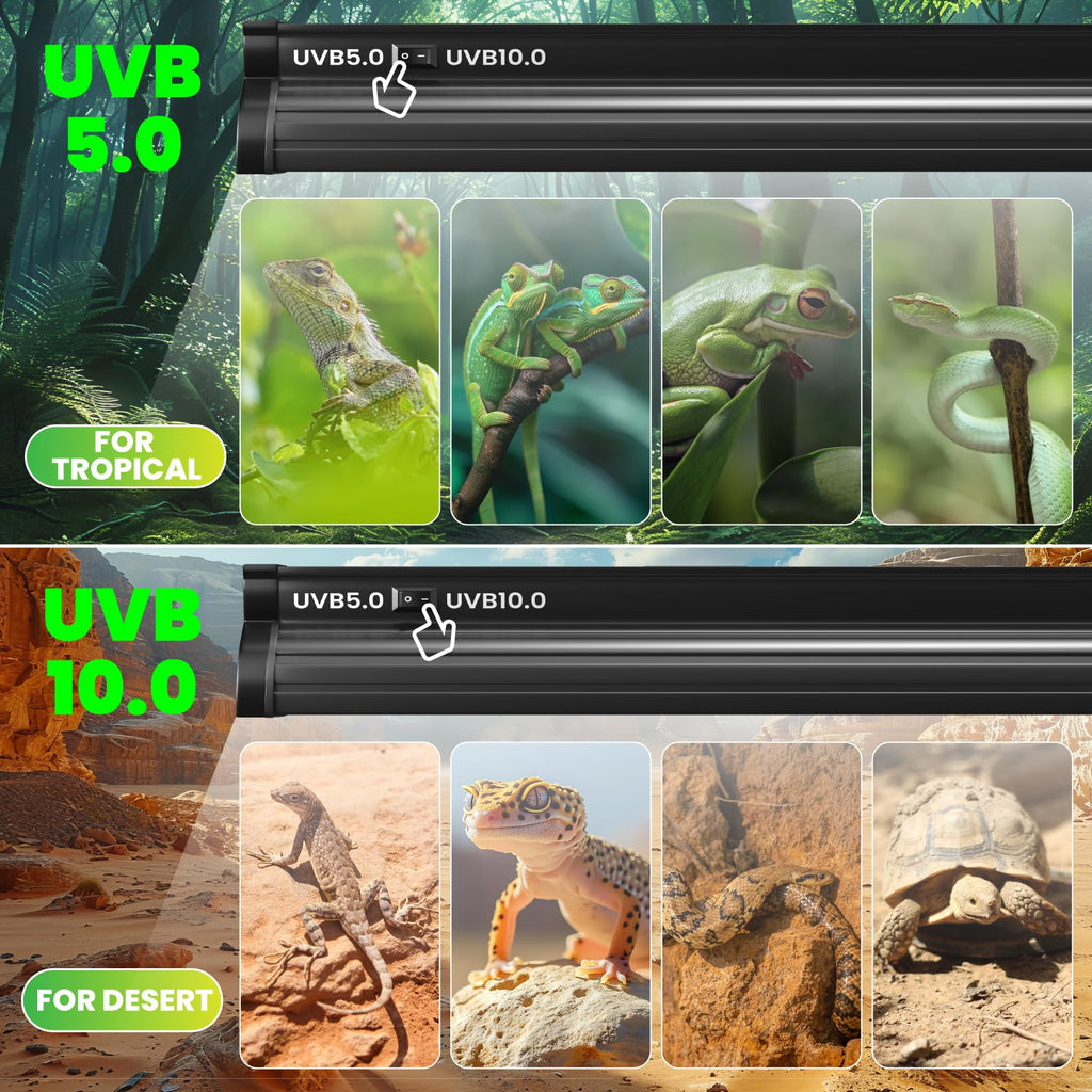 8W T5 UVB Reptile Light C632024