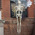165cm Posable Full Body Skeleton R646585
