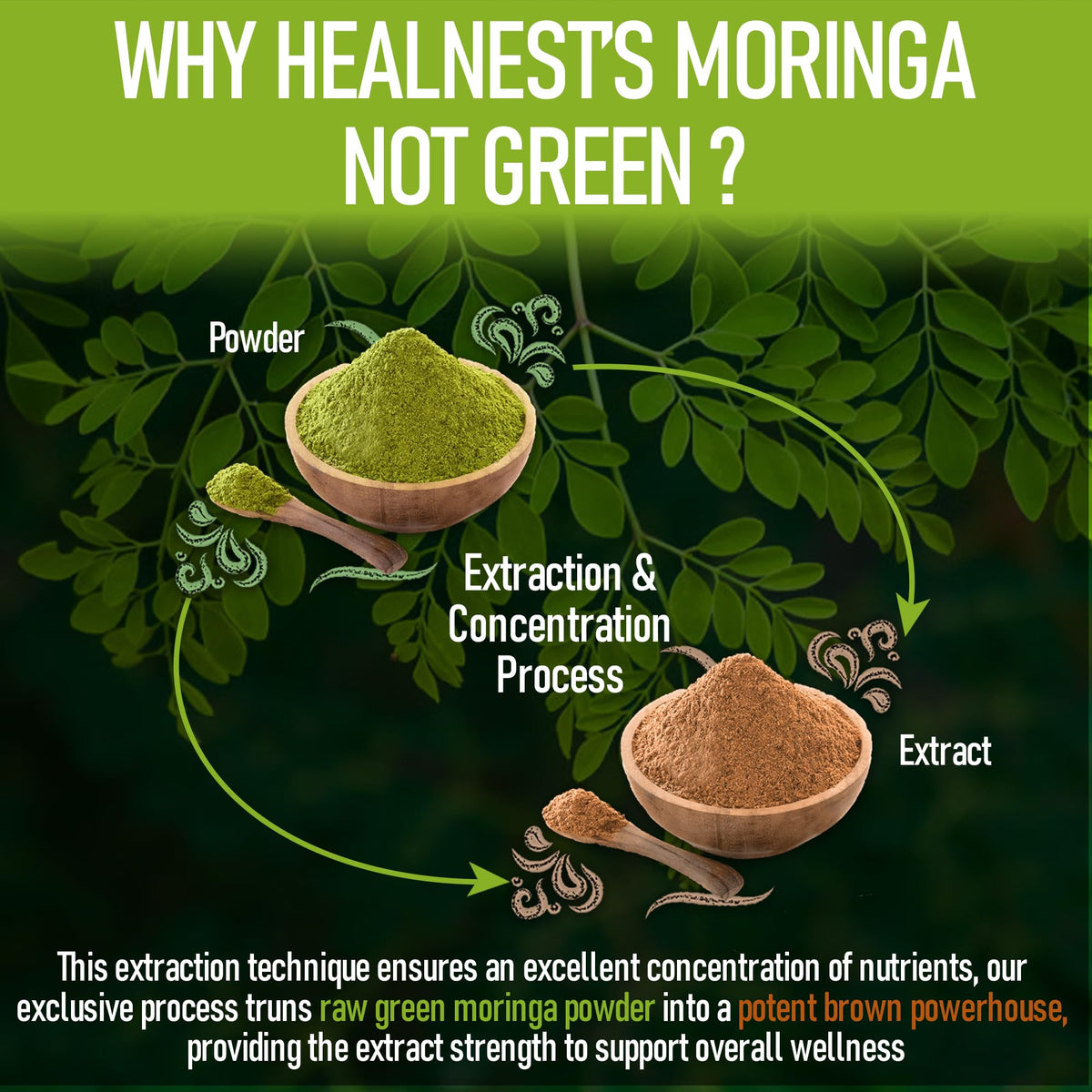 Moringa Extract Capsules 20:1 120 Capsules Vegan M999878