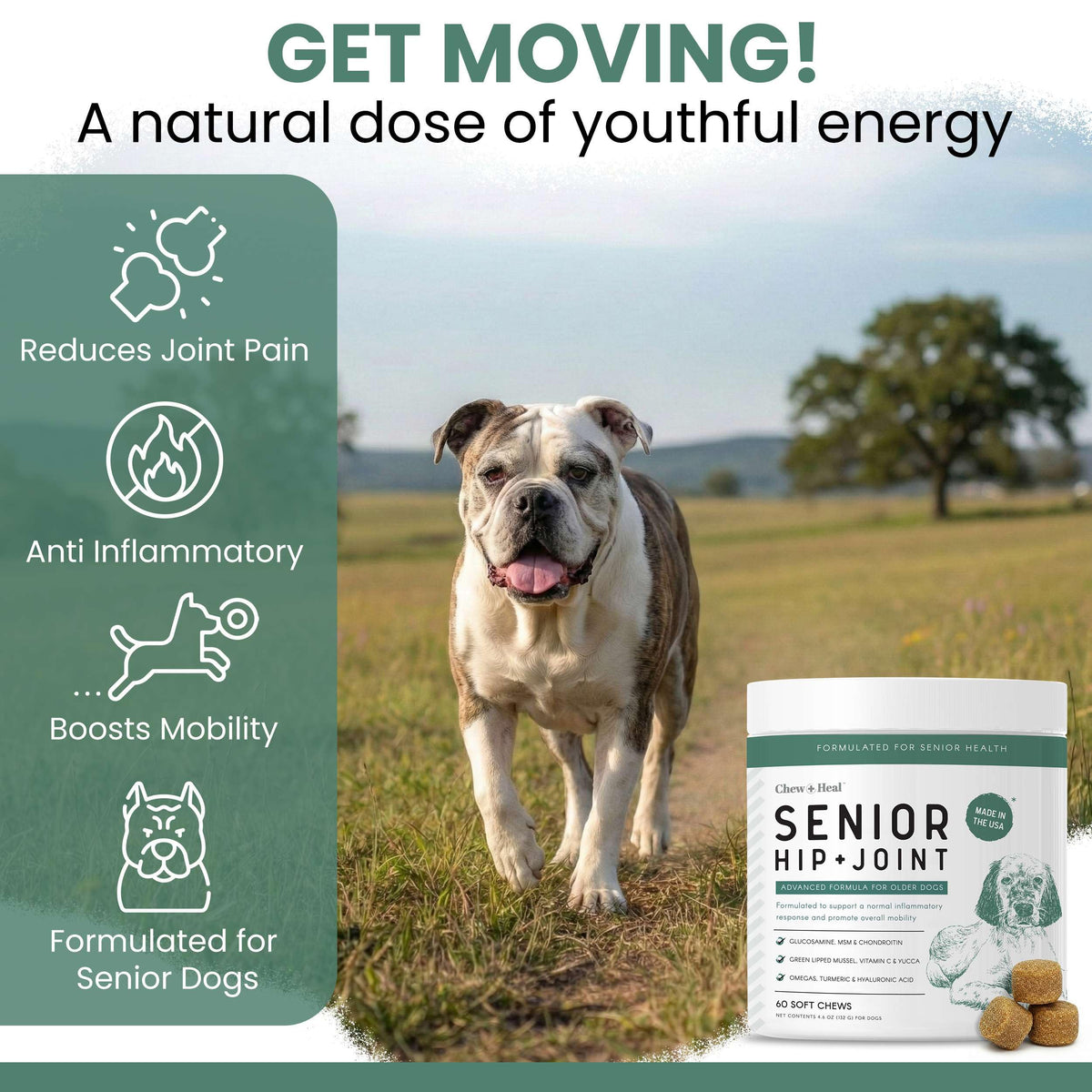 Glucosamine Hip and Joint Supplement 120 Chews E579541