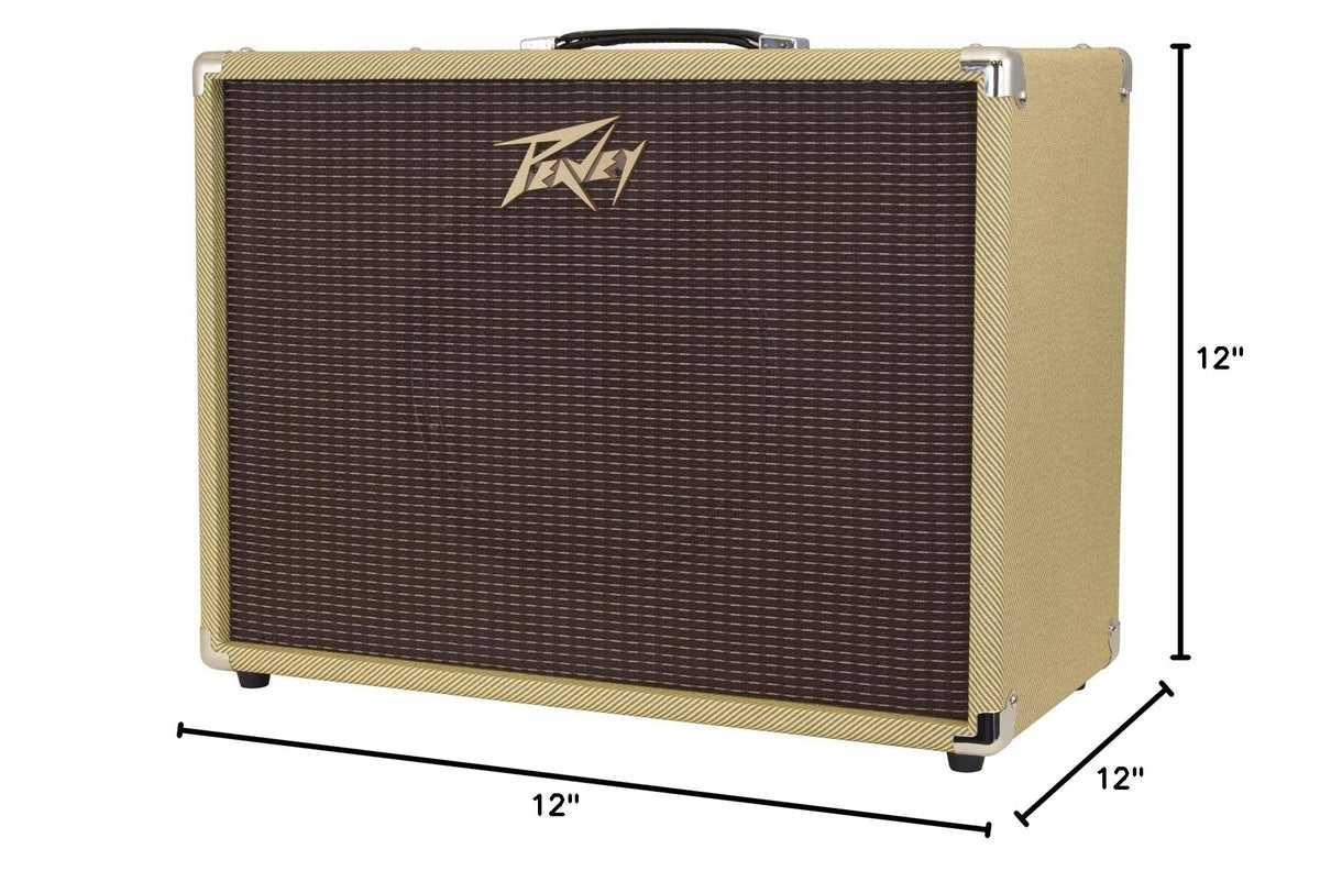 Guitar Speaker Cabinet X529284