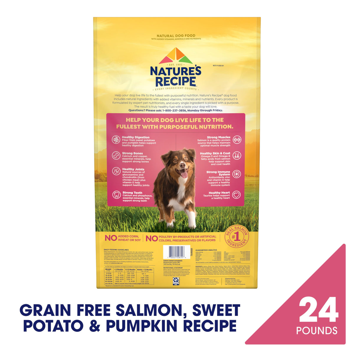 Grain Free Salmon Dry Dog Food 24 lb. Bag T119554