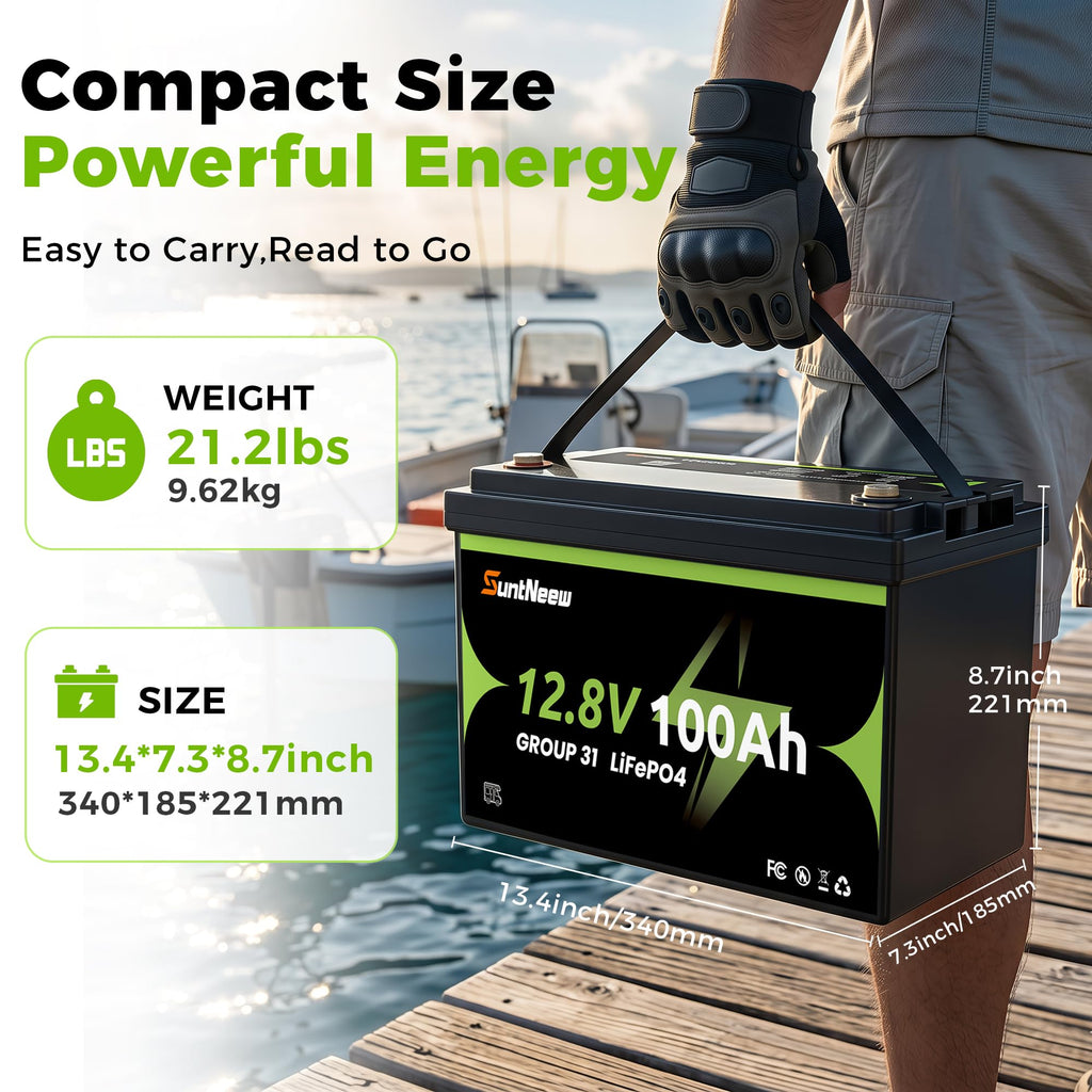12V 100Ah LiFePO4 Battery Group 31 L78926
