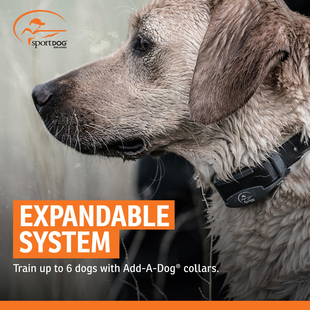 Remote Dog Trainer 1-Mile Range S73629