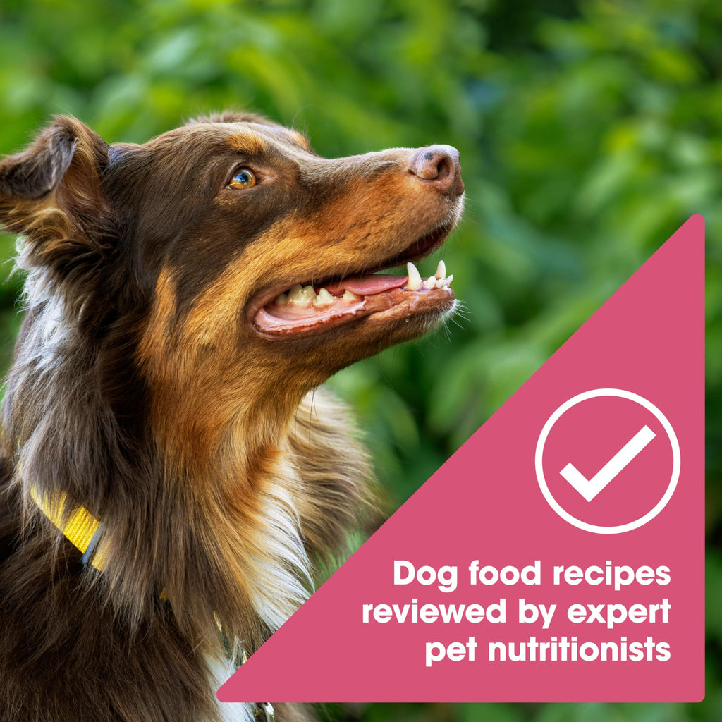 Grain Free Salmon Dry Dog Food 24 lb. Bag T119554